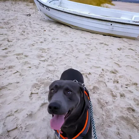 شقة Ostseezauber- Mit 3 Und Balkon