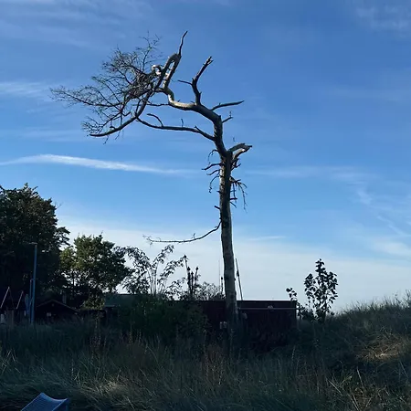 Ostseezauber- Mit 3 Und Balkon * Zempin
