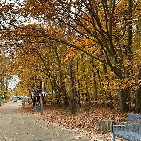 Ostseezauber- Mit 3 Und Balkon شقة زيمبين